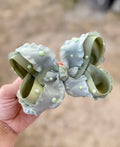 Sage Spring 2 Layer Ribbon bow (pearl optional add on)